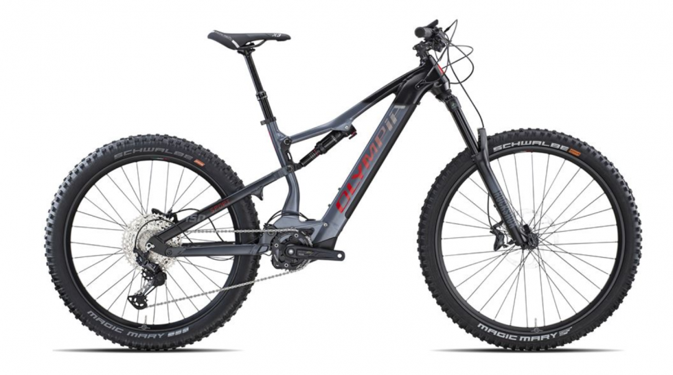 Alquiler de ebikes Olympia EX900 en Zaragoza