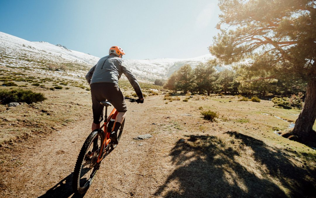 Vizio es punto de venta oficial de Orbea en Zaragoza